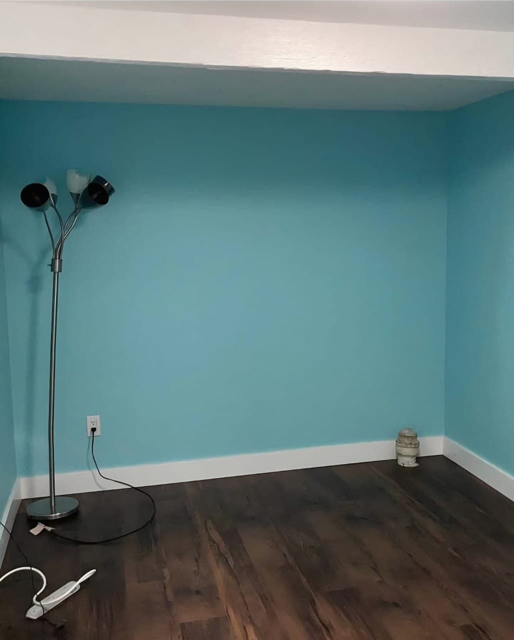 Basement Finishing project example